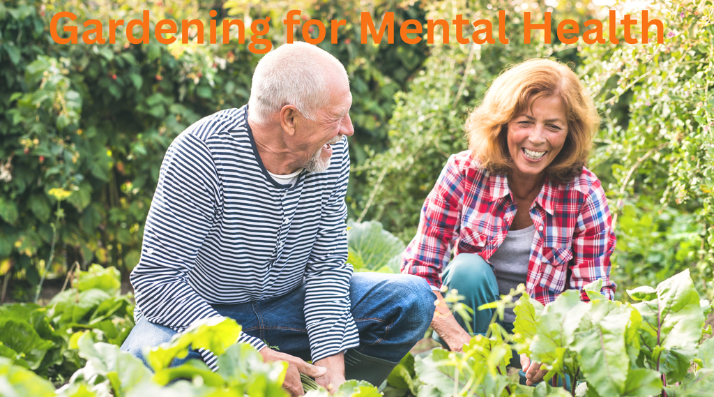 Gardening for Mental Health: Therapeutic Benefits of Plants