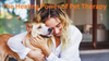The Healing Power of Pet Therapy - How Animals Heal Hearts, Minds, and Bodies