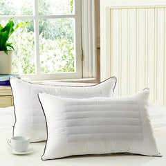 Two white pillows with black piping on a light surface, with a window and plant in the background.