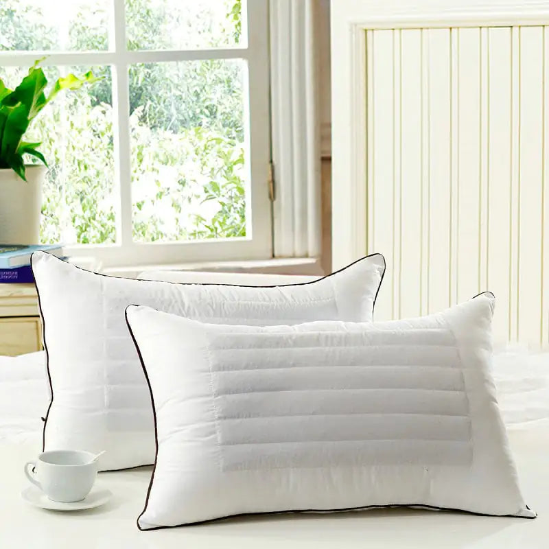 Two white pillows with black piping on a light surface, with a window and plant in the background.