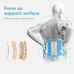 Lumbar Support Belt