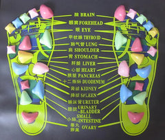 Colorful acupressure foot map with labeled body parts on a dark background