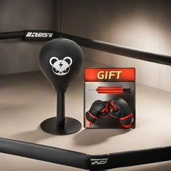 Mini Punching Bag
